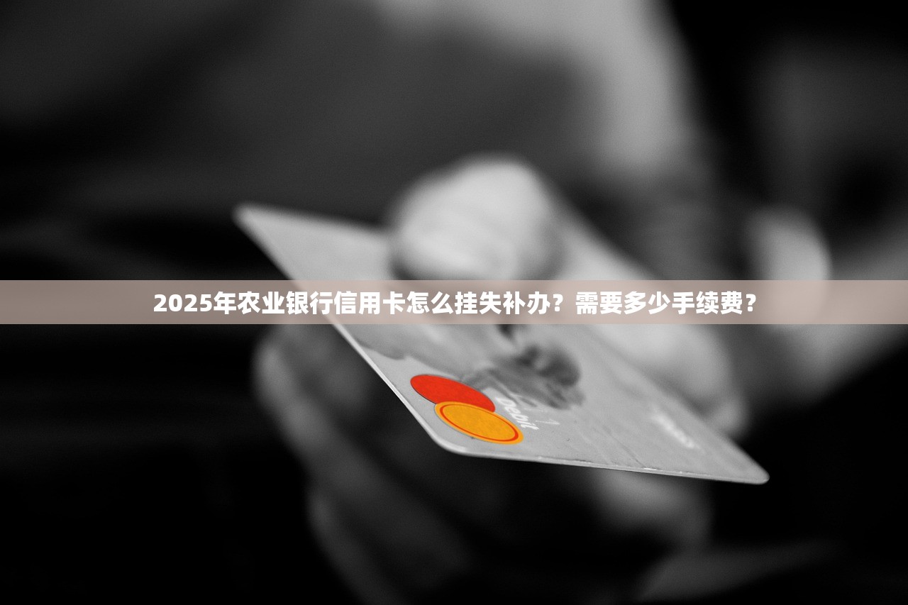 哪些平台借贷不需要查征信记录必备​这5个！拆解​借钱口子网贷不查征信记录