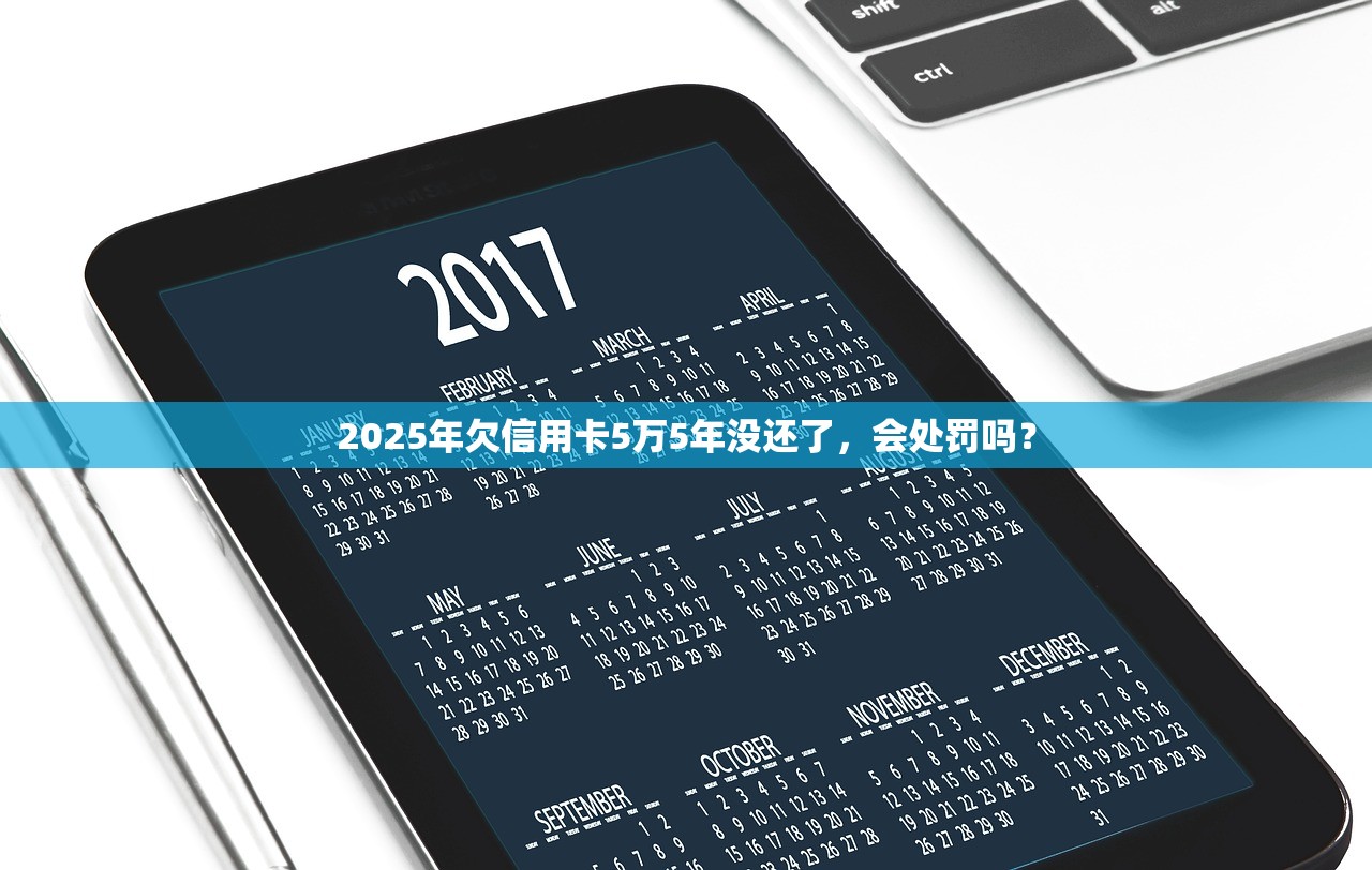 2025年欠信用卡5万5年没还了，会处罚吗？