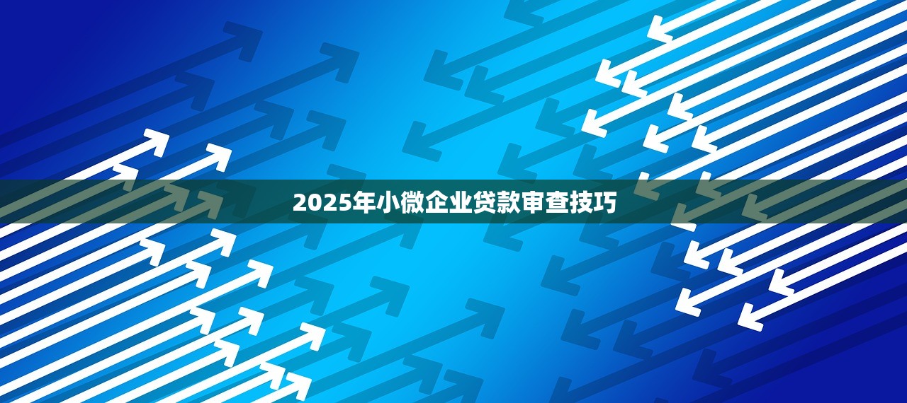 2025年小微企业贷款审查技巧
