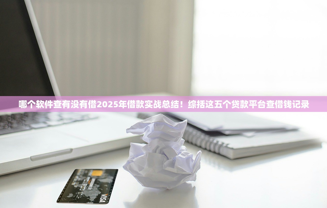 哪个软件查有没有借2025年借款实战总结！综括这五个贷款平台查借钱记录