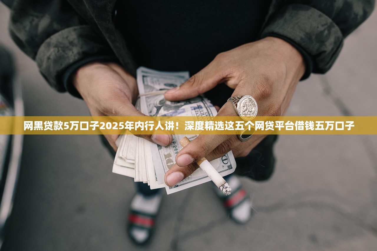 网黑贷款5万口子2025年内行人讲！深度精选这五个网贷平台借钱五万口子