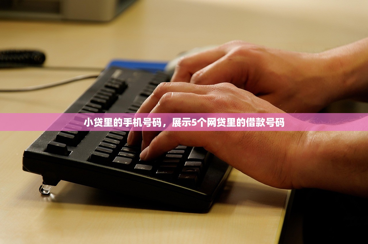 小贷里的手机号码，展示5个网贷里的借款号码