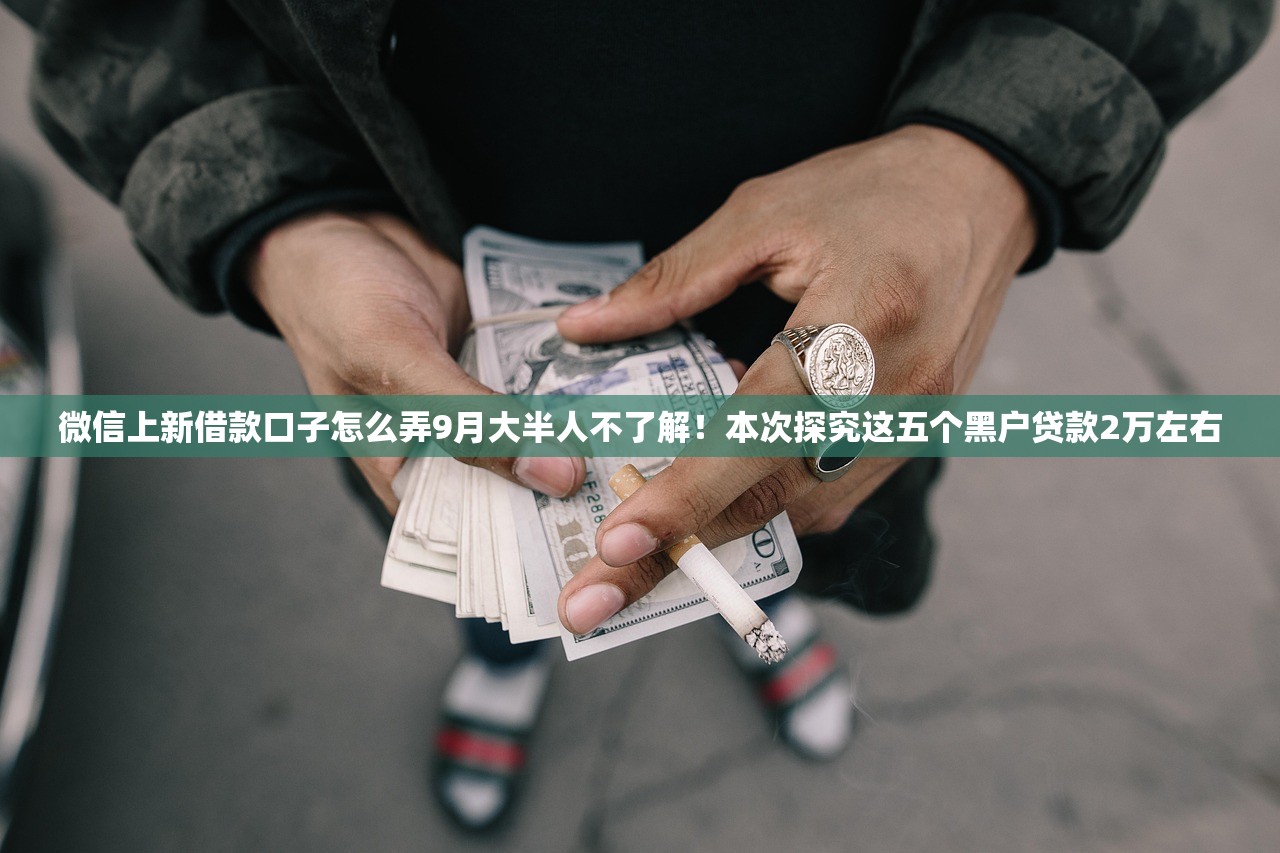 微信上新借款口子怎么弄9月大半人不了解！本次探究这五个黑户贷款2万左右